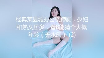 经典某县城办公楼蹲厕，少妇和熟女居多，看B能猜个大概年龄（无水印） (2)