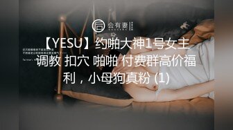 【YESU】约啪大神1号女主 调教 扣穴 啪啪 付费群高价福利，小母狗真粉 (1)