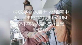 (中文字幕)人妻ナンパ自宅中出し×PRESTIGE PREMIUM 欲求不満な人妻5名in目黒・新宿 01