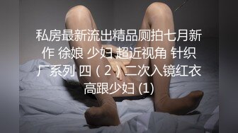 私房最新流出精品厕拍七月新作 徐娘 少妇 超近视角 针织厂系列 四（2）二次入镜红衣高跟少妇 (1)