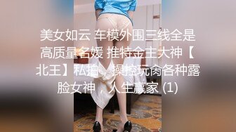 美女如云 车模外围三线全是高质量名媛 推特金主大神【北王】私拍，操控玩肏各种露脸女神，人生赢家 (1)