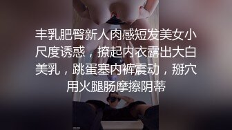 丰乳肥臀新人肉感短发美女小尺度诱惑，撩起内衣露出大白美乳，跳蛋塞内裤震动，掰穴用火腿肠摩擦阴蒂