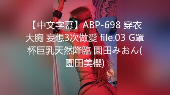 【中文字幕】ABP-698 穿衣大胸 妄想3次做愛 file.03 G罩杯巨乳天然降臨 園田みおん(園田美櫻)