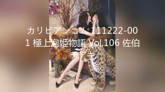 カリビアンコム 111222-001 極上泡姫物語 Vol.106 佐伯チアキ