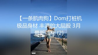  【一条肌肉狗】Dom打桩机极品身材 丰满的大屁股 3月最新福利 (2)