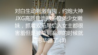 对白生动刺激有趣，约炮大神JXG高质量肉搏多位美少女嫩妹，抓着双马尾后入女主都很害羞但是被草到高潮的时候就原形毕露了 (3)