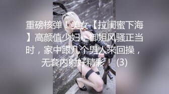 重磅核弹！美女【拉闺蜜下海】高颜值少妇，御姐风骚正当时，家中跟几个男人来回操，无套内射好精彩！ (3)