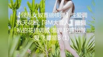 【淫乱女奴重磅核弹】性爱调教天花板『BM大官人』最强私拍花样调教 激操3P露出做爱 飞镖插B (1)