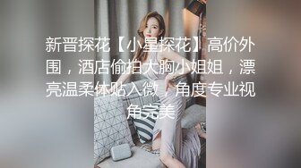 新晋探花【小星探花】高价外围，酒店偷拍大胸小姐姐，漂亮温柔体贴入微，角度专业视角完美