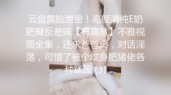 云盘露脸泄密！高颜清纯E奶肥臀反差妹【石高慧】不雅视图全集，还求爸爸肏，对话淫荡，可惜了被个纹身肥猪佬各种蹂躏 (3)