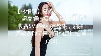 【林绾绾】穷人女神富人母狗，超高颜值极品空姐最新8月收费SVIP福利完整集，啪啪调教多种玩弄，母狗属性拉满了 (3)