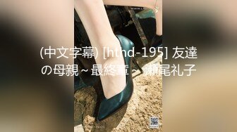 (中文字幕) [hthd-195] 友達の母親～最終章～ 瀬尾礼子