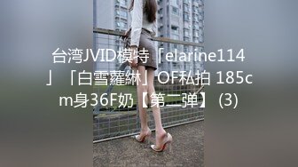 台湾JVID模特「elarine114」「白雪蘿綝」OF私拍 185cm身36F奶【第二弹】 (3)