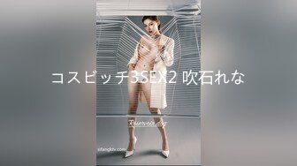 コスビッチ3SEX2 吹石れな