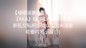 【绿帽淫妻性爱狂】绿帽大神『AKA』绿帽视角2023年最新乱交私拍①请众猛男肏淫妻轮番内射小逼 (3)