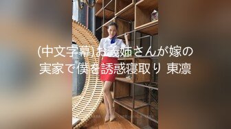 (中文字幕)お義姉さんが嫁の実家で僕を誘惑寝取り 東凛