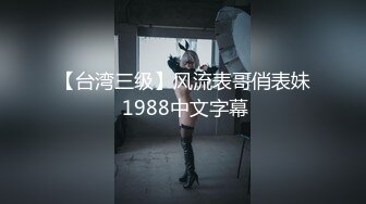 【台湾三级】风流表哥俏表妹 1988中文字幕