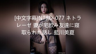 [中文字幕]NTRD-077 ネトラレーゼ 妻が宅飲み友達に寢取られた話し 藍川美夏