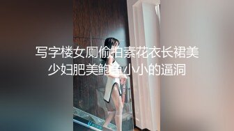 写字楼女厕偷拍素花衣长裙美少妇肥美鲍鱼小小的逼洞