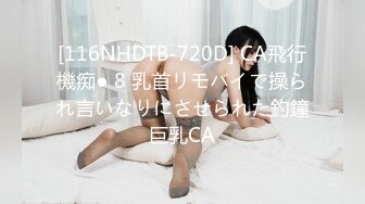 [116NHDTB-720D] CA飛行機痴● 8 乳首リモバイで操られ言いなりにさせられた釣鐘巨乳CA