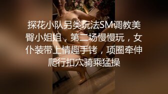 探花小队另类玩法SM调教美臀小姐姐，第二场慢慢玩，女仆装带上情趣手铐，项圈牵伸爬行扣穴骑乘猛操