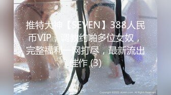 推特大神【SEVEN】388人民币VIP，调教约啪多位女奴，完整福利一网打尽，最新流出佳作 (3)