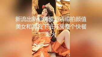 新流出新台情趣酒店偷拍颜值美女和男友下班开房整个快餐泻火