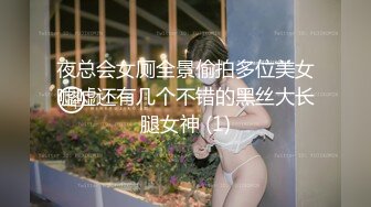 夜总会女厕全景偷拍多位美女嘘嘘还有几个不错的黑丝大长腿女神 (1)