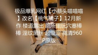 极品爆乳网红【小蔡头喵喵喵】改名【桃气橘子】12月新作 楼道露出 厕所里玩穴塞棒棒 淫纹黑丝 超级涩 高清960P原版