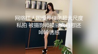 网络红人国模严佳丽超大尺度私拍 被摄影师摸骚穴自慰还呻吟诱惑