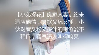 热黑发热情吹箫 暨 燕子