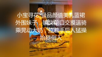 小宝寻花_极品颜值美乳蓝裙外围妹子，镜头前口交摸逼骑乘晃动大奶，拉着手后人猛操抬腿侧入