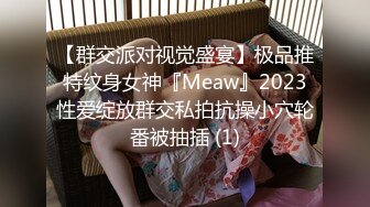 【群交派对视觉盛宴】极品推特纹身女神『Meaw』2023性爱绽放群交私拍抗操小穴轮番被抽插 (1)